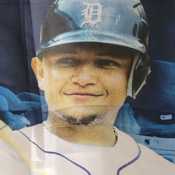 Detroit Tigers 2011 AL Central Champs Flag - Picture 3 of 4